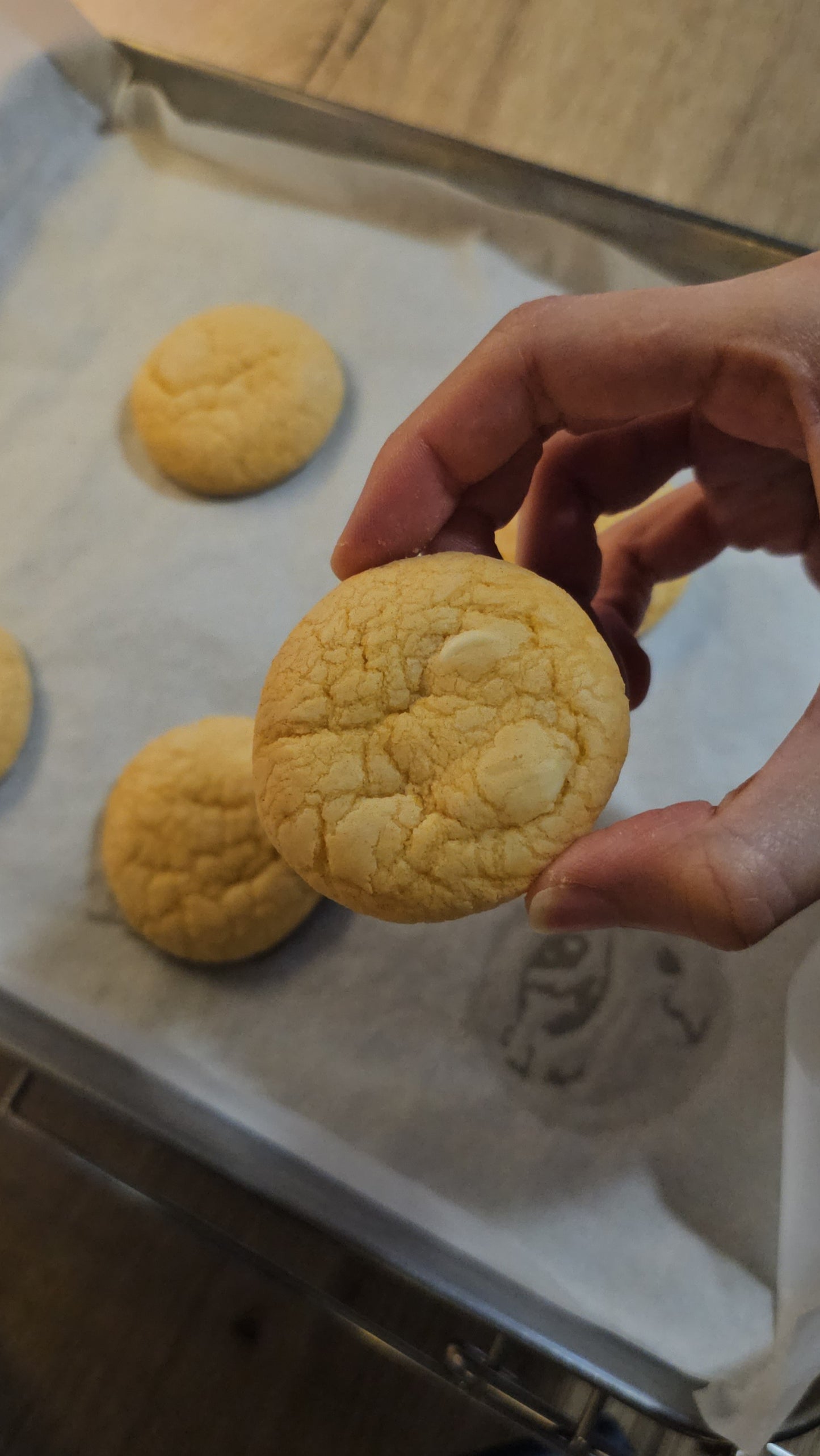 Custard & White Chocolate Biscuits - Pack of 5