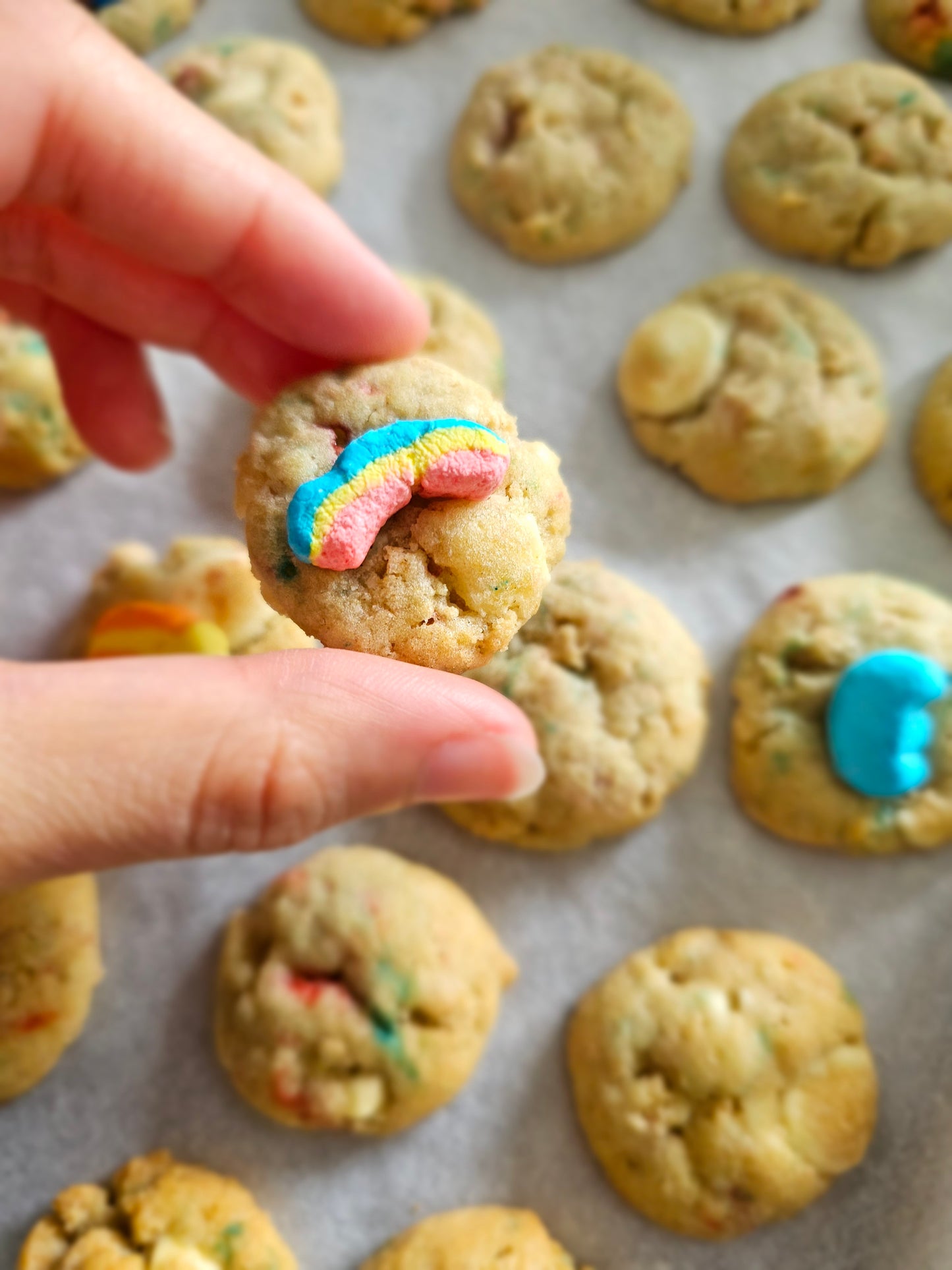 Mini Cookies Bag - Gift Treat Bag